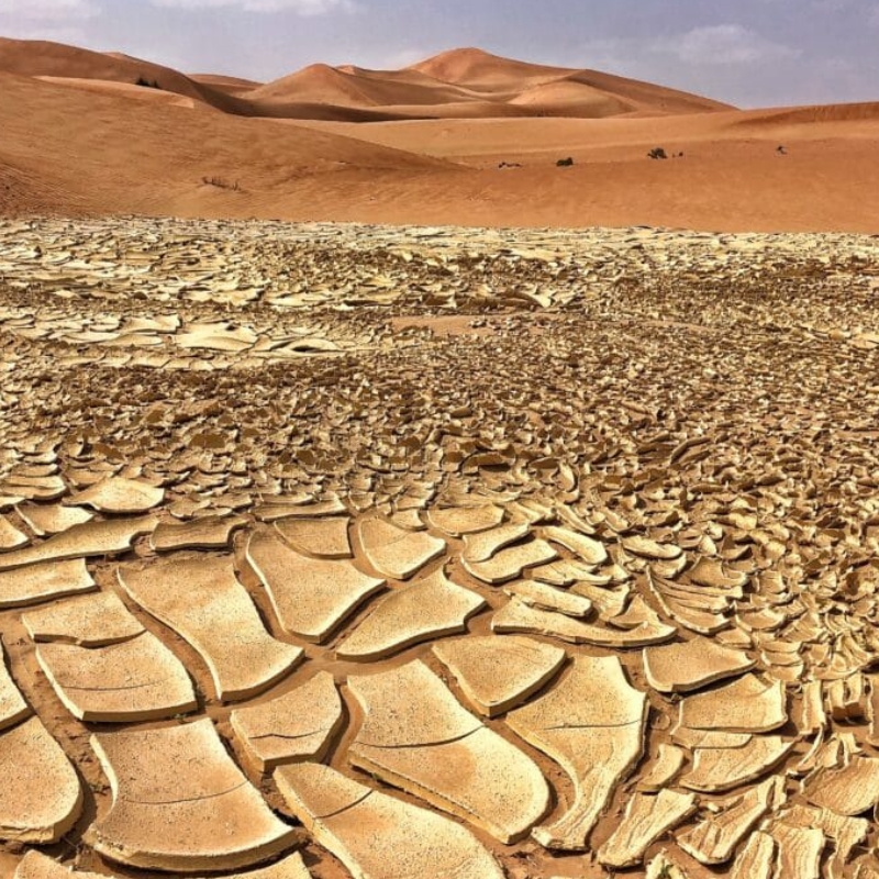 g20 climate