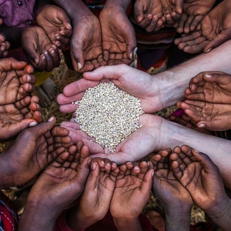 g20 food