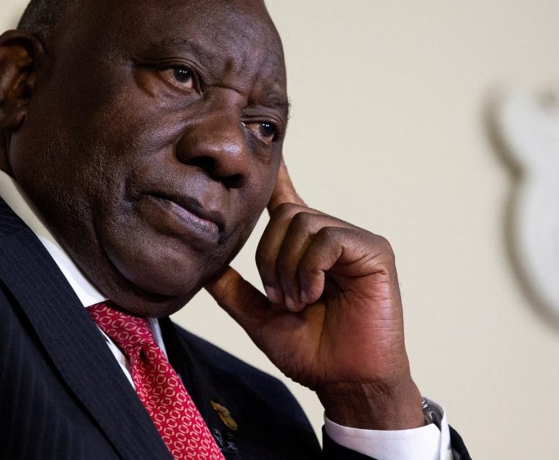 insights social impact